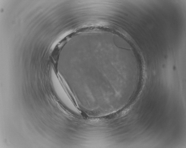 X0000051880826200507151910