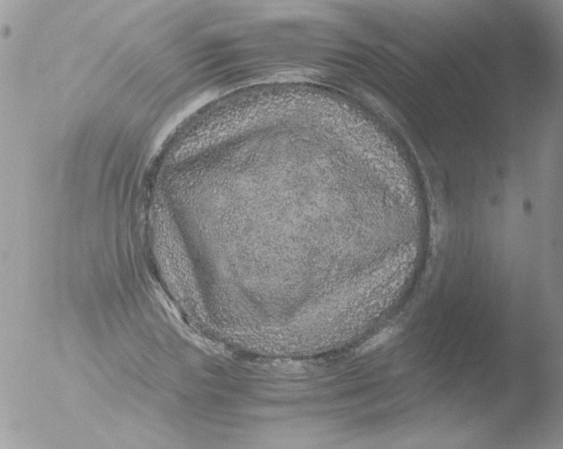 X0000051880827200507151910