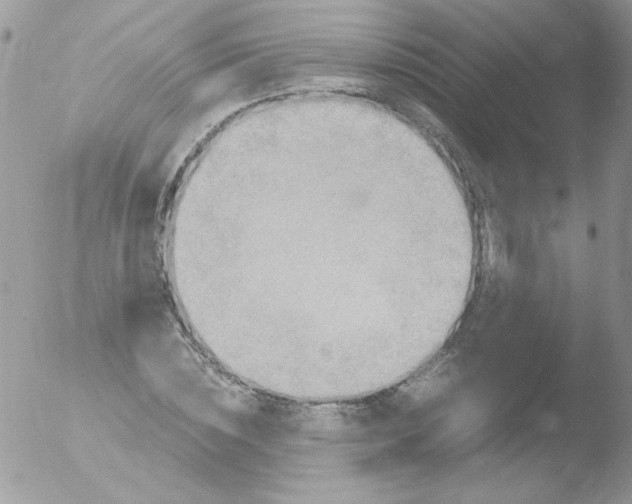 X0000051880828200507151910