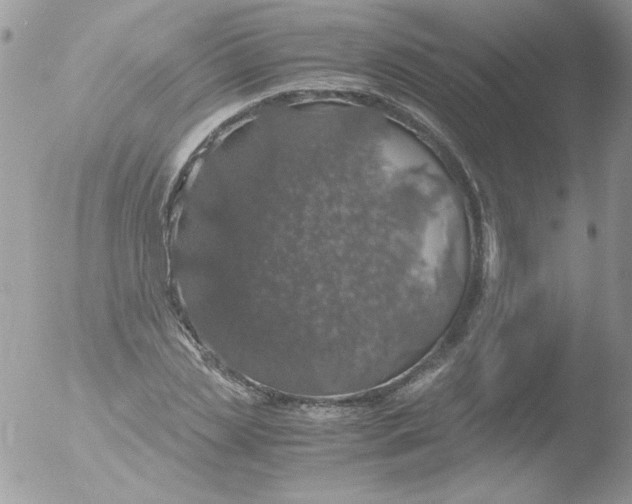 X0000051880829200507151910