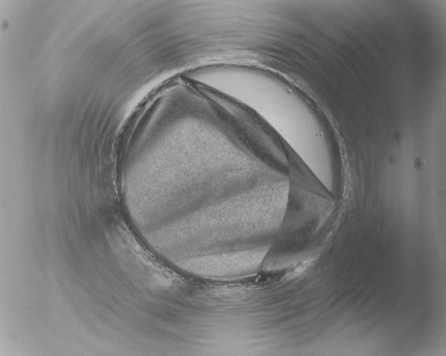 X0000051880830200507151910