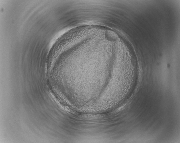 X0000051880831200507151910