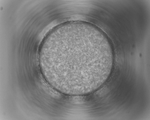 X0000051880832200507151910