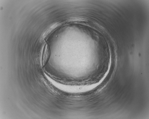 X0000051880833200507151910