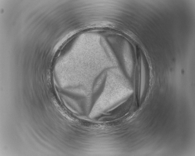 X0000051880834200507151910