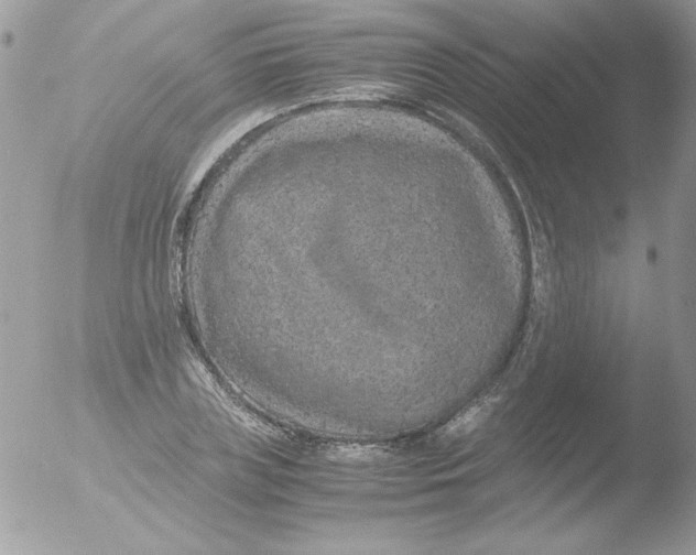 X0000051880835200507151910