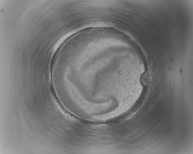 X0000051880837200507151910