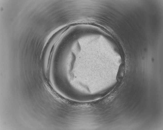 X0000051880838200507151910