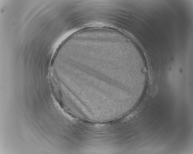 X0000051880839200507151910