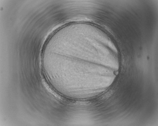 X0000051880840200507151910