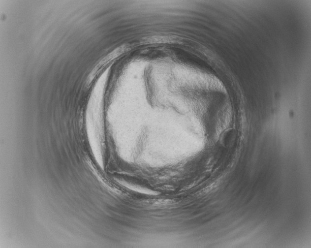 X0000051880841200507151910