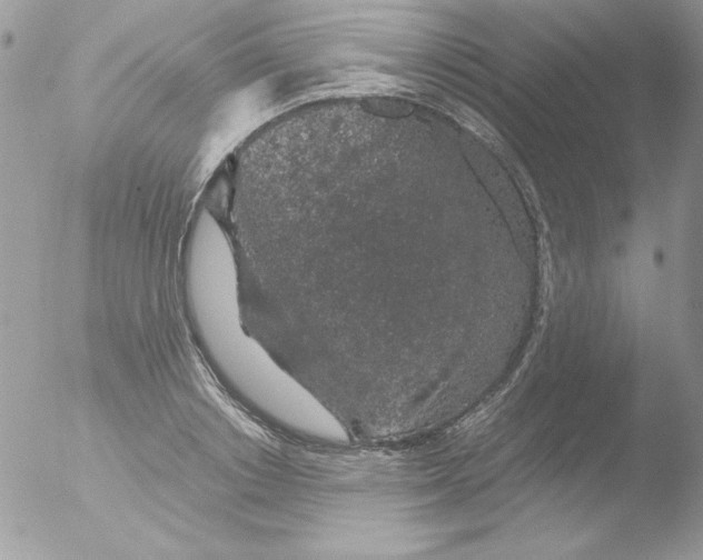 X0000051880842200507151910