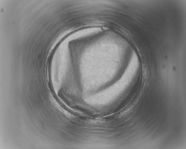 X0000051880843200507151910