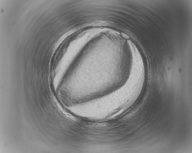 X0000051880845200507151910