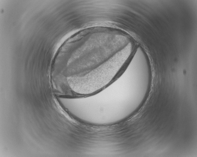 X0000051880846200507151910