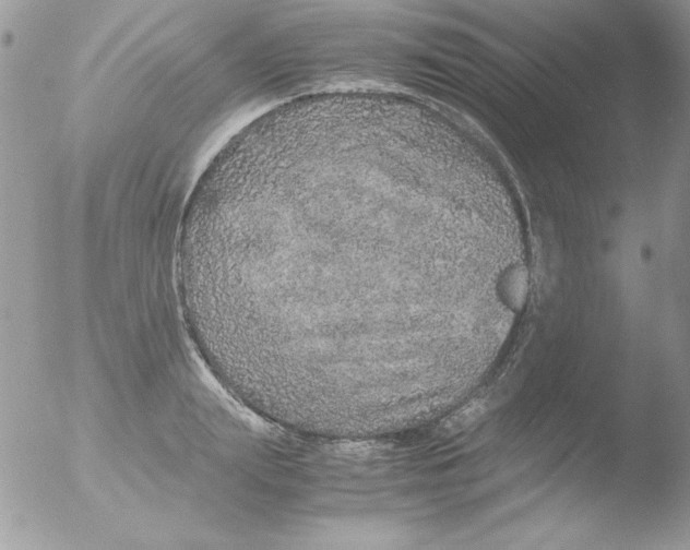 X0000051880847200507151910