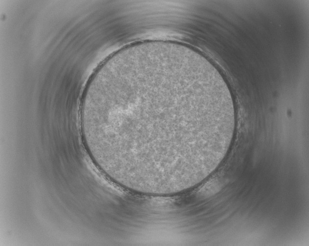 X0000051880848200507151910