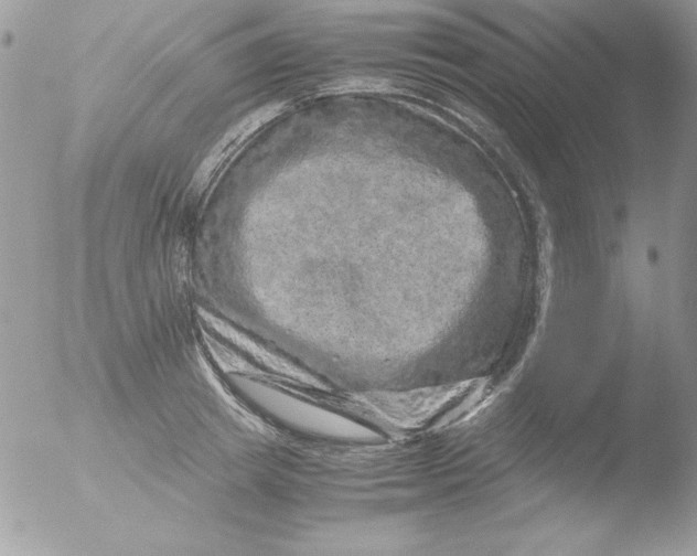 X0000051880849200507151910