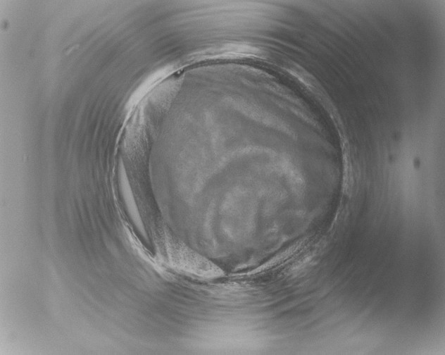 X0000051880850200507151910