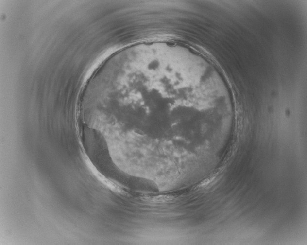 X0000051880851200507151910