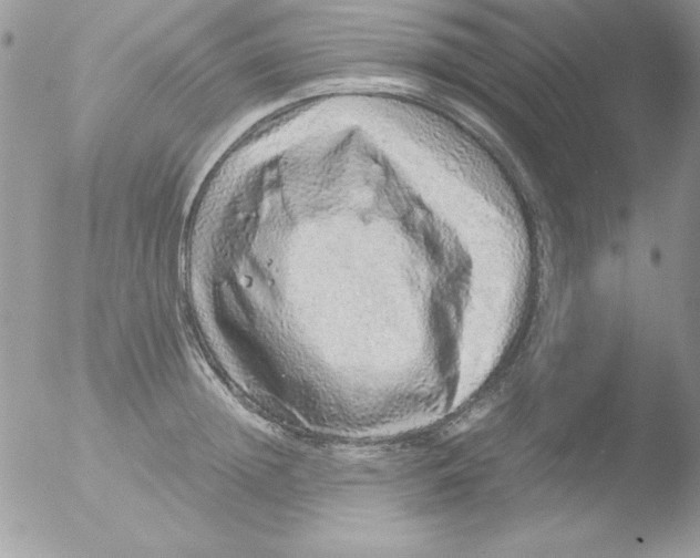 X0000051880852200507151910