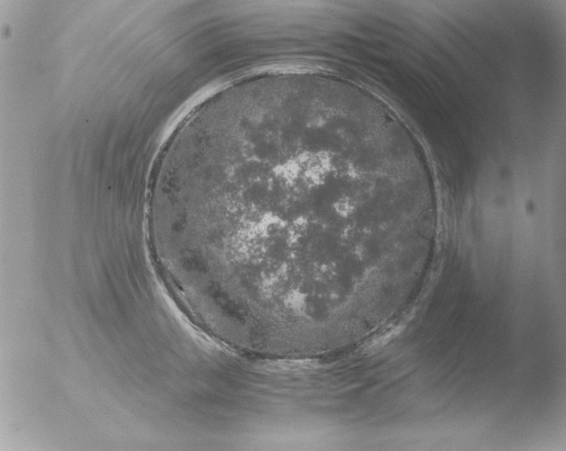 X0000051880853200507151910