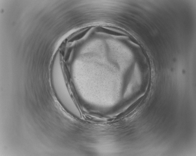 X0000051880854200507151910