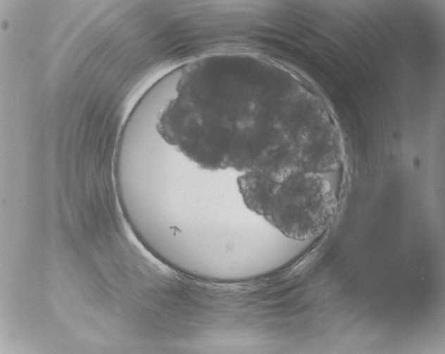 X0000051880855200507151910