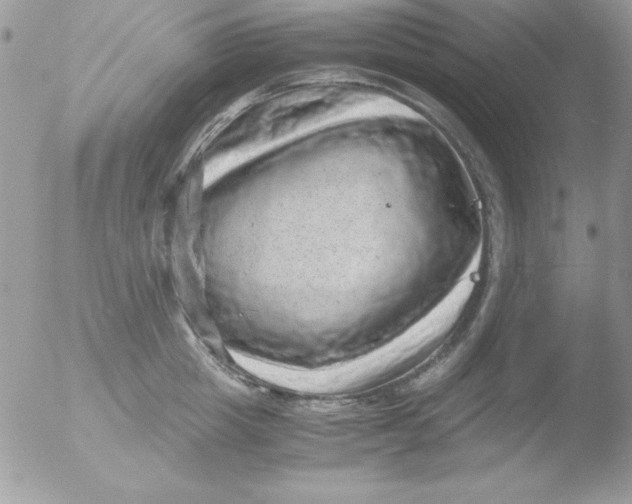 X0000051880857200507151910