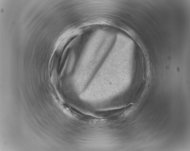 X0000051880858200507151910