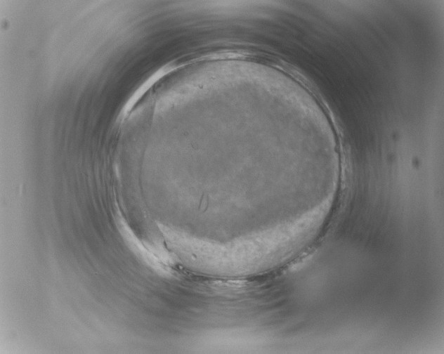 X0000051880859200507151910