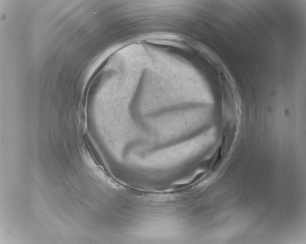 X0000051880860200507151910