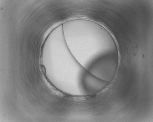 X0000051880861200507151910