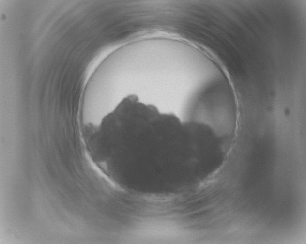 X0000051880863200507151911