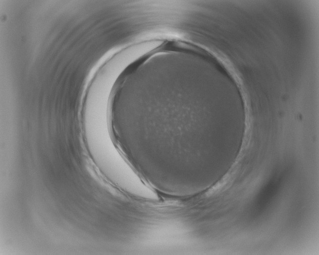 X0000051880864200507151911