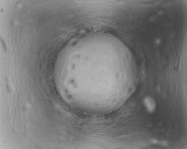 X0000051880865200507151910