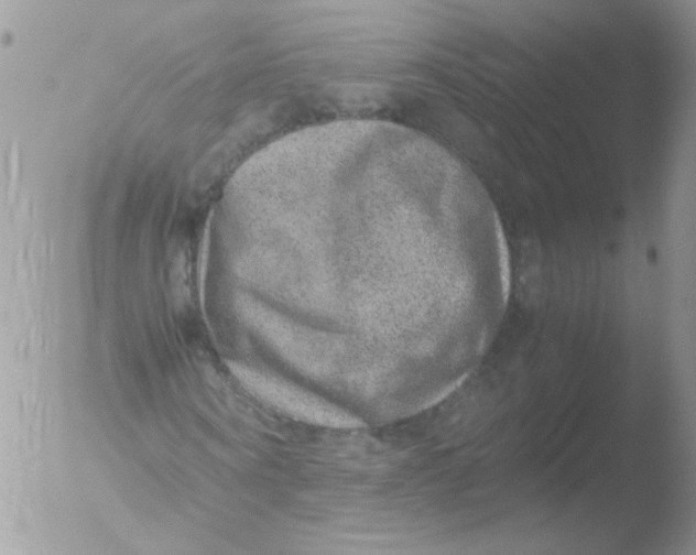 X0000051880866200507151910