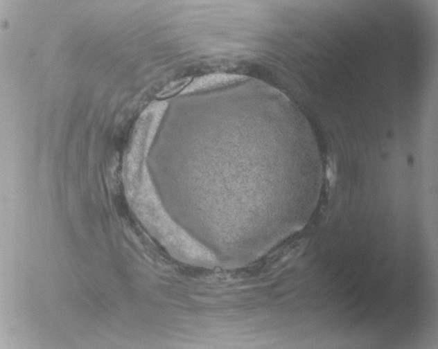 X0000051880867200507151910