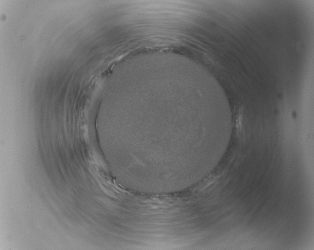 X0000051880868200507151910