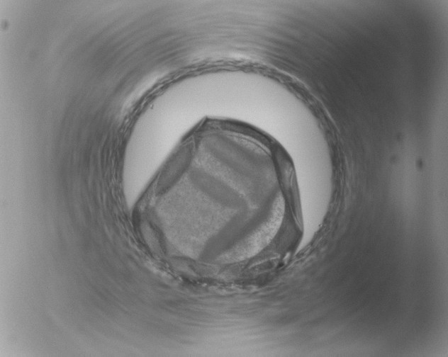 X0000051880871200507151910