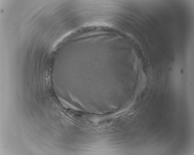 X0000051880872200507151910