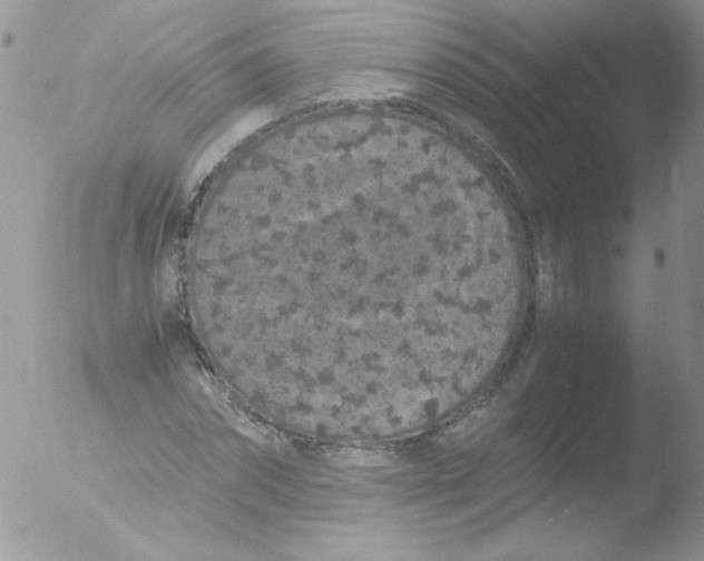 X0000051880874200507151910