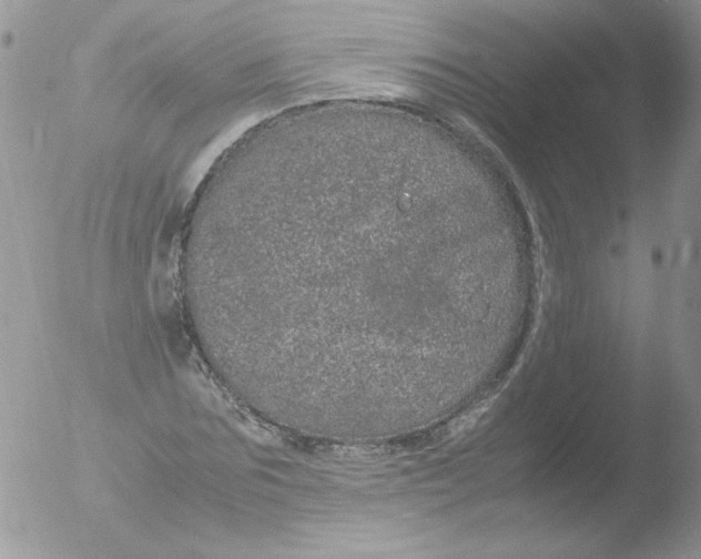 X0000051880875200507151910