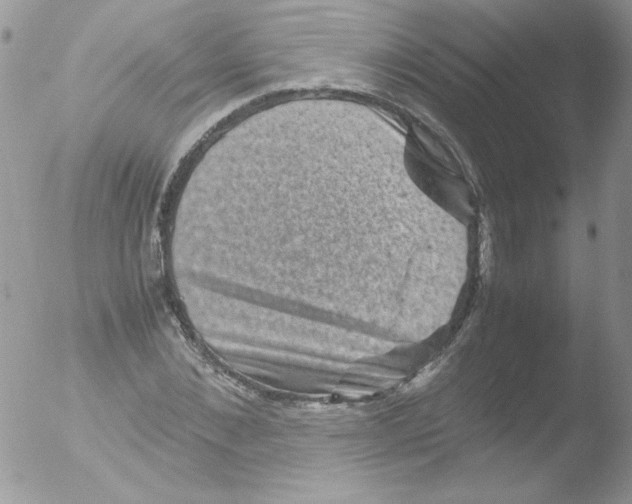 X0000051880876200507151910