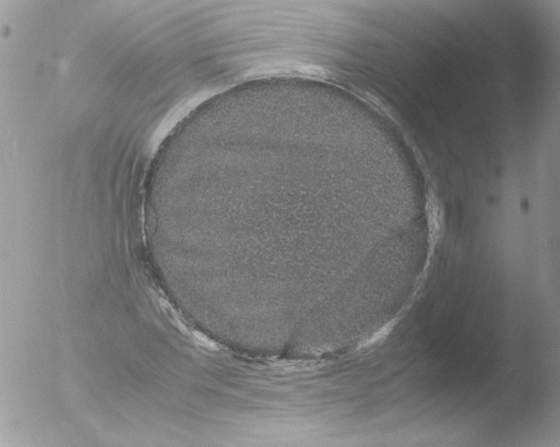 X0000051880877200507151909