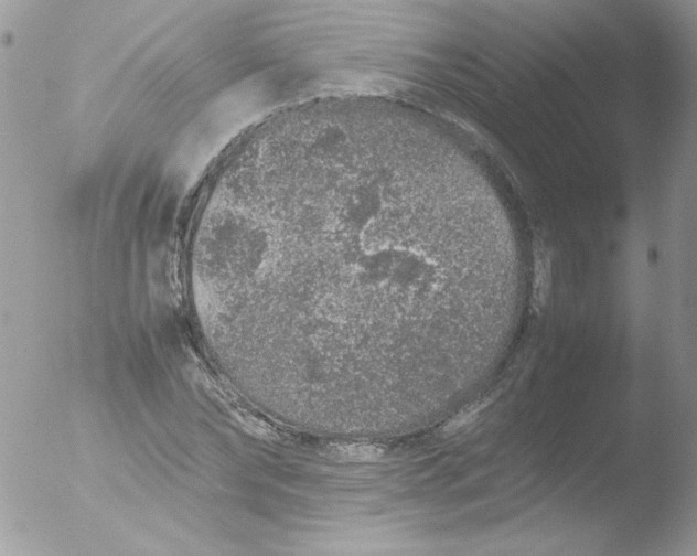 X0000051880878200507151909