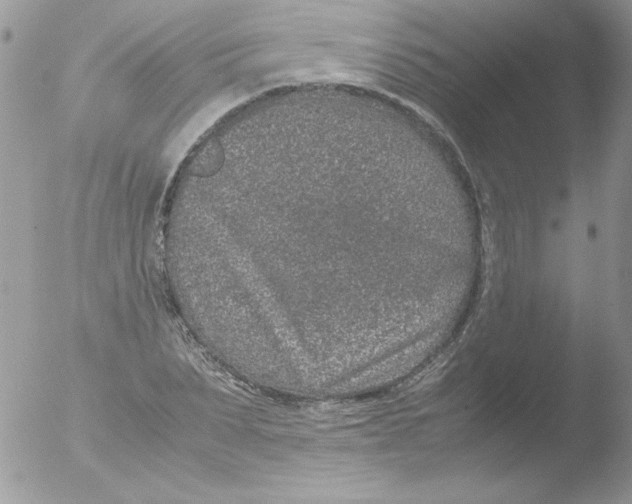 X0000051880879200507151909