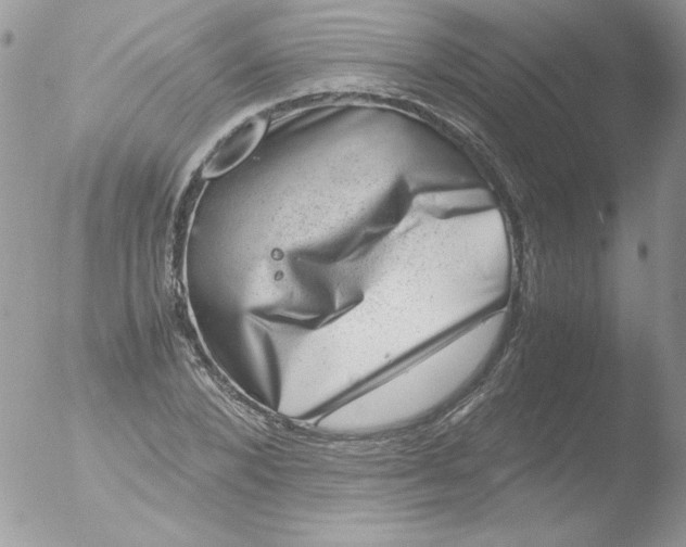 X0000051880880200507151909