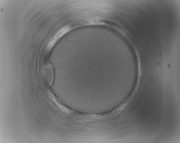 X0000051880881200507151909