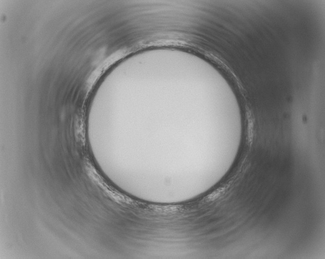 X0000051880882200507151909